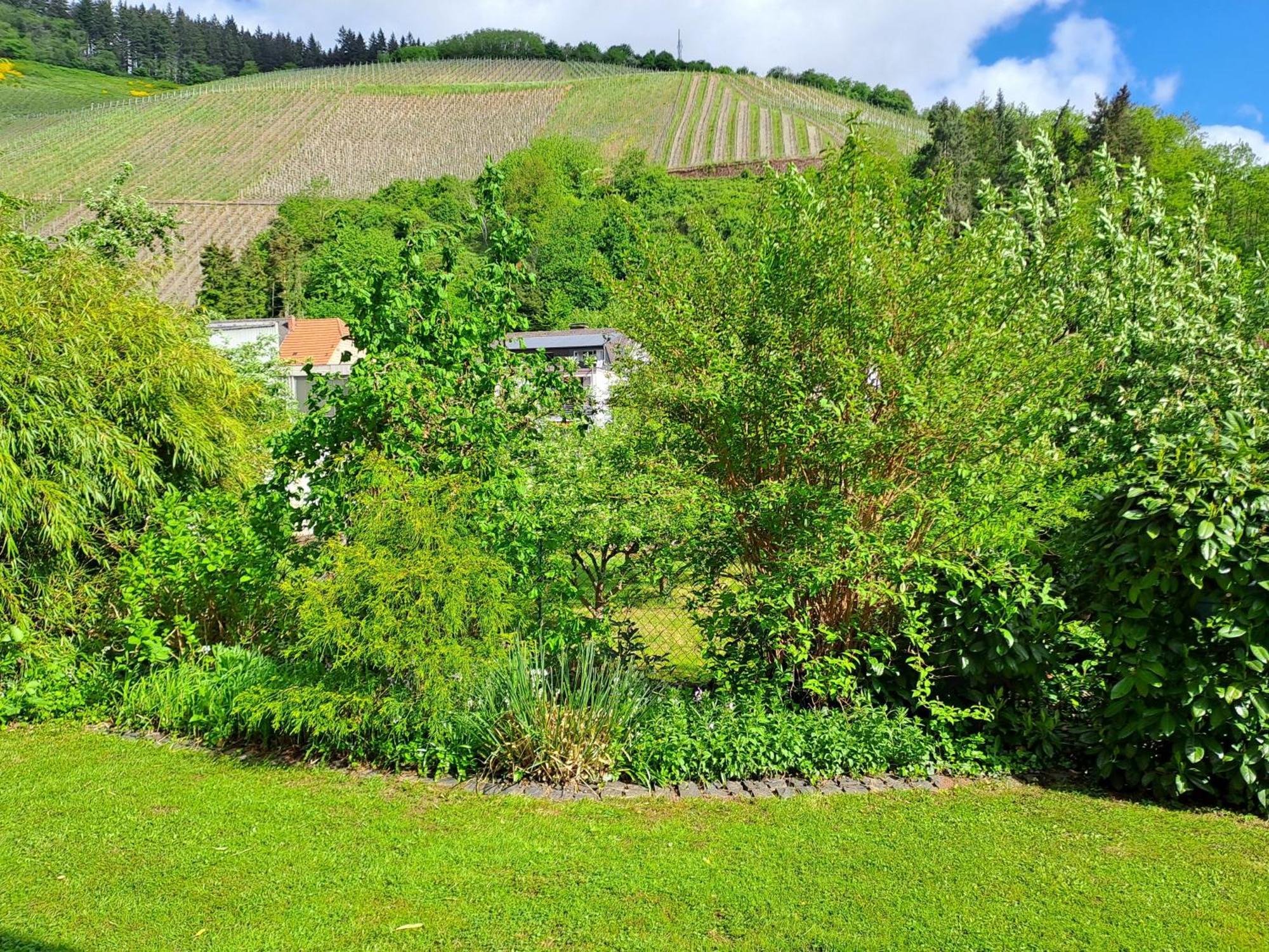Ferienwohnung Heiming Saarburg Exterior foto